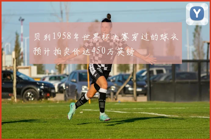 贝利1958年世界杯决赛穿过的球衣预计拍卖价达450万英镑