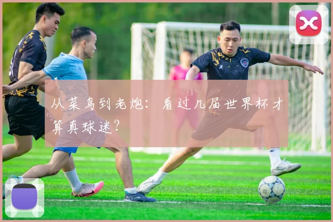 从菜鸟到老炮：看过几届世界杯才算真球迷？