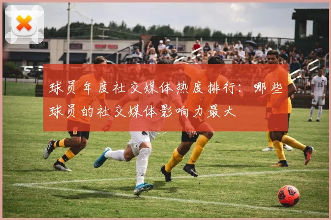 球员年度社交媒体热度排行：哪些球员的社交媒体影响力最大